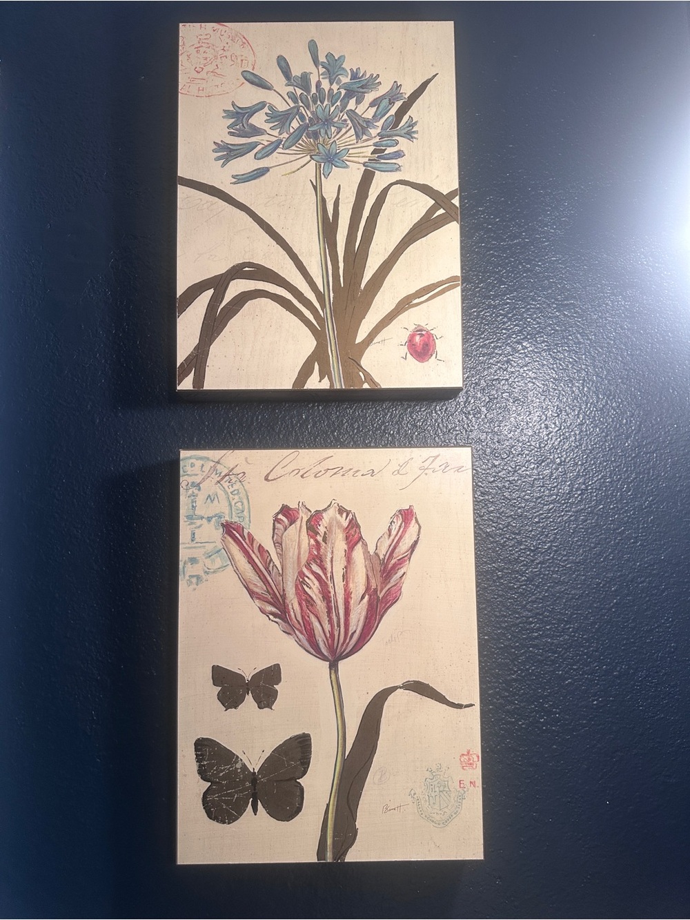 Floral Red Tulip and Blue Blossom Wall Art Set - Cream and Brown Rustic Look